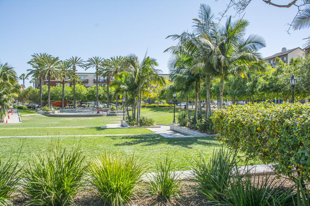 Playa Vista